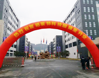 我公司又一力作，格莱特手机科技园食堂91免费处女工程正式开业